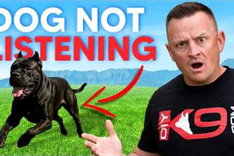3 Reasons WHY Your Dog REFUSES to Listen To You!
