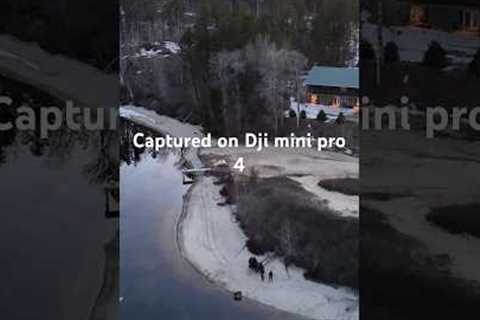 The Majestic Swim of Loons: A Drone's Eye View #shorts