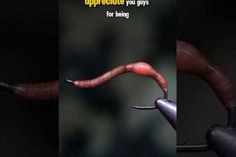 Earthworm Fly!