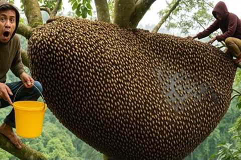 SIMPLE #bushcraft survival skills so powerful they'll take your breath away