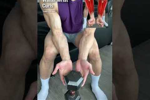 GROW YOUR FOREARMS (Dumbbells Only)