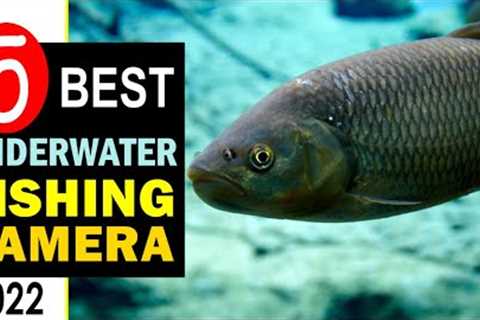 Best Underwater Fishing Camera [UPDATED] 🏆 Top 5 Underwater Fishing Camera Reviews