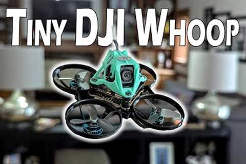 Nimble65 HD O4 // DJI On a 31mm Prop Whoop