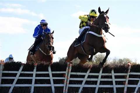LULAMBA reverses Cheltenham form with Poniros at Punchestown | Racing TV