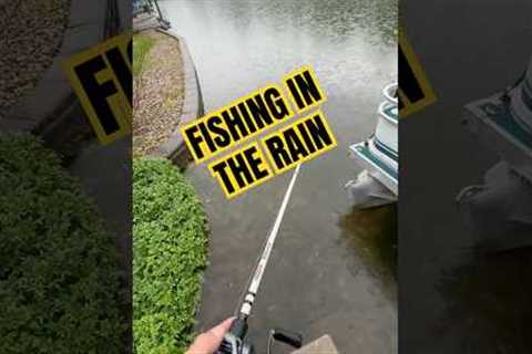 Fishing in the rain in my favorite. #fishing #bassfishing #fishingshorts