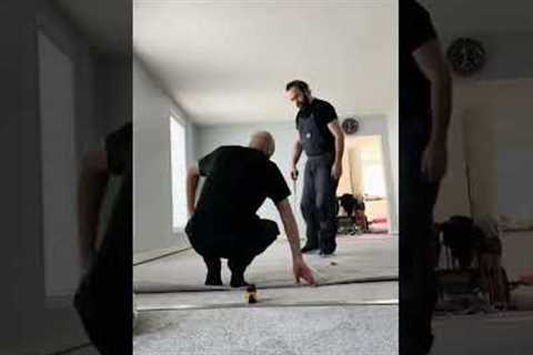 Discover the ultimate guide to carpet replacement