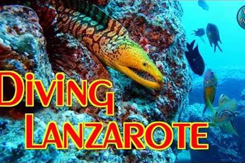 Scuba Diving LANZAROTE | Playa Blanca - Canary Islands - Spain | GoPro 1080p 60FPS