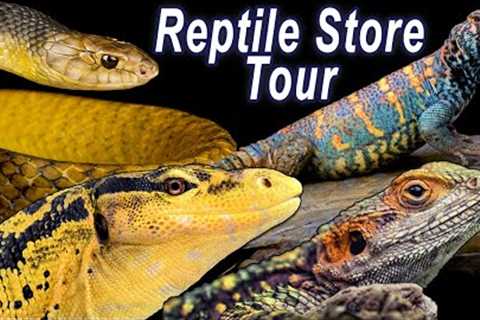 Reptile Shop Tour: Giant Monitors &amp; Exotic Reptiles!