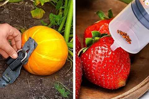 Gardening Hacks That Actually Work