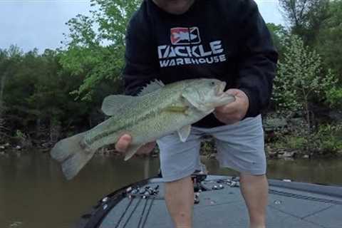 Table Rock Lake Bass fishing report May 1, 2025