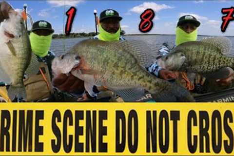 I Murdered The Crappie on This Private Lake