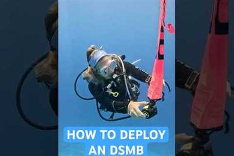 How To Deploy A Surface Marker Bouy | Scuba Diving Skills