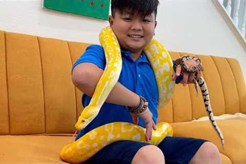 Alex and Eric Gets New Pet Animals | Learn About Wild Animal Reptiles