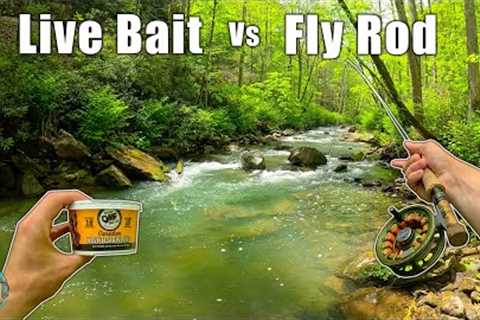Fly Fishing vs Live Bait: Which is Better? (The ultimate debate)