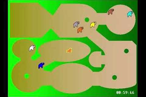 Horse Race Test - All Races (Upload order)