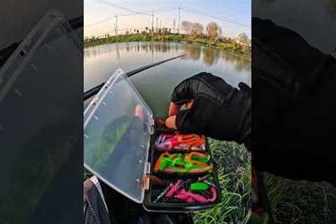 Second Catch at the lake | Fishing 🎣 with the lure