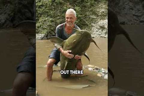 The River Monster Fish Ended!