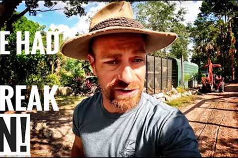 A Wild Gator Broke into my Yard!