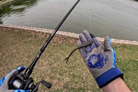 Fishing with ONLY the Fluke!!