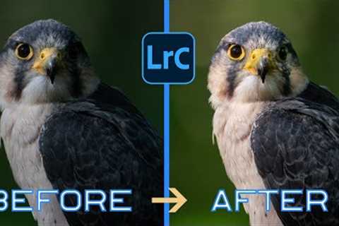Revolutionize your wildlife photography with these 5 Lightroom hacks