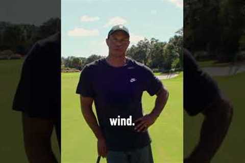 Tiger Woods' Greatest Golf Shot He's Ever Hit | TaylorMade Golf