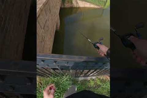 7 Minutes #fishing #outdoors