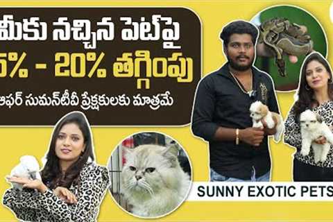 Sunny Exotic Pets | 15% to 20% Exclusive Offer For SumanTV PETS Subscribers | SumanTV PETS