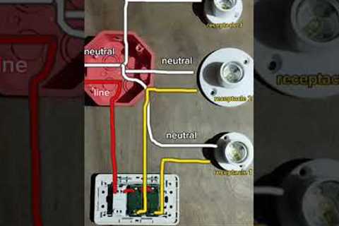3 gang switch #circuitbreaker #yt #video #electrical #breakers #electricaldevice #viral #wiring