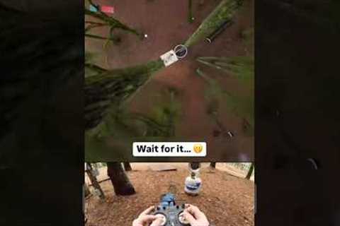 🌲 This course is next level 🌲(via atek_fpv/IG) #DroneRacingLeague