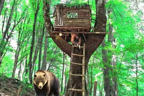 Building a Tree Shelter &amp; Surviving a Bear Encounter , survival skills 👍