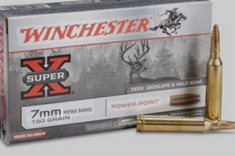 The best economy factory deer ammo for your deer rifle. My top 5 pics