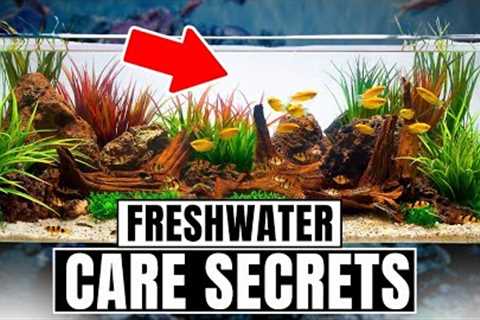30 Freshwater Aquarium Tips Every Beginner Needs To Know