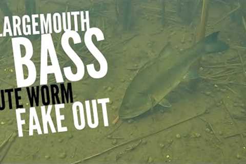 Largemouth Bass Flute Worm Fake Out #shorts