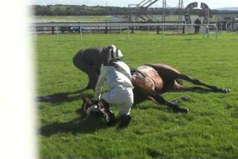Racing horse death by accident in Galway