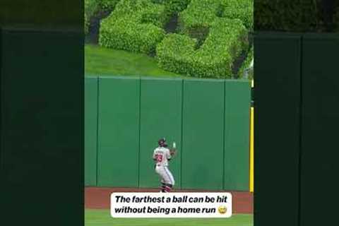 Andrew McCutchen was INCHES from a home run 🤯 #baseball #mlb