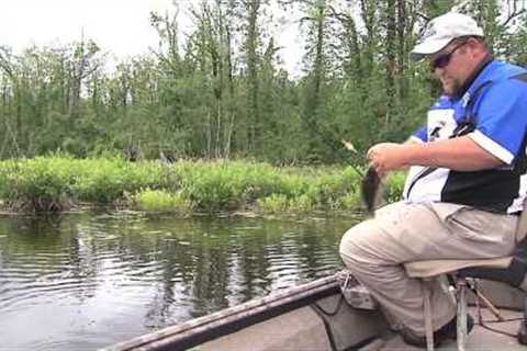 Fishing Reelfoot Lake