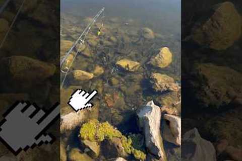 CAUGHT A Fish INSTANTLY (.0002 Seconds)!! 🎣🐟 #shorts #fishing