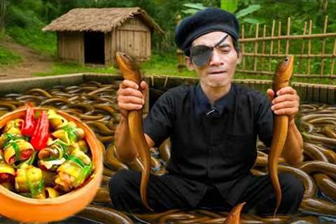 Hoang Son Life : Forest Survival – Building an Eel Trap, Catching Snails in the Stream, and Cooking