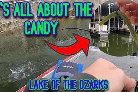 May Is For Spawning | Bass Fishing | Lake of the Ozarks