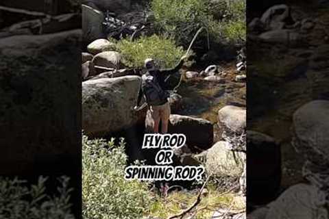 Which fishing style is best? #flyfishing #lurefishing #spinner #fly #fishing #trout #reels #fish