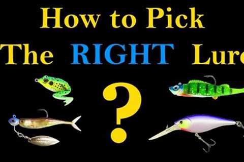 How to Pick the Right Fishing Lure (Best Way to Catch a Fish)