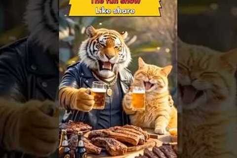 Animals friendships and party