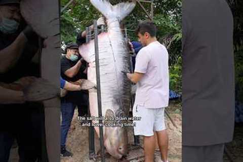 Cooking The World’s Largest Fish