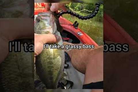 Grassy Bass Anyone? #kayak #bassfishing #shorts
