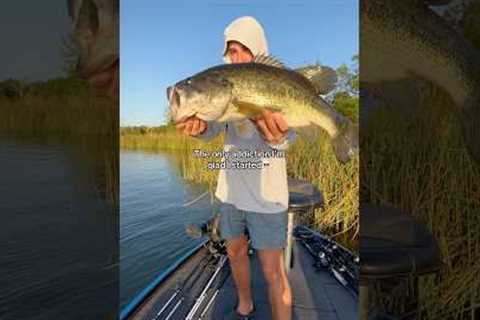 I’m glad I started THIS!🗣️🔥 #fishing #shorts