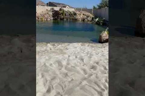Build me a Beach in my Backyard ☀️ #landscapedesign #naturalpool #swimmingpool