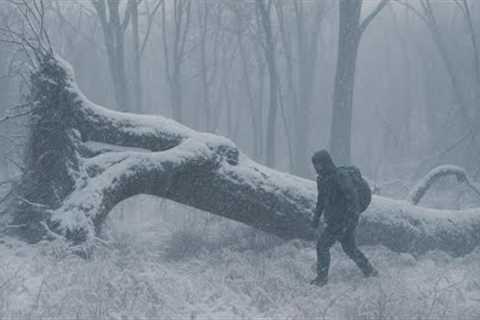 Survival Challenge in Heavy Snow and Blizzard-21°C TemperatureAlone in the Deep Wild,and Cold Jungle