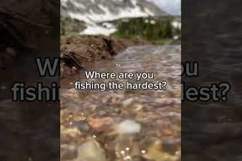 Where are you fishing the hardest? 💀 #fishing #shorts