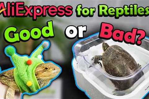 We Review Reptile Products from AliExpress!