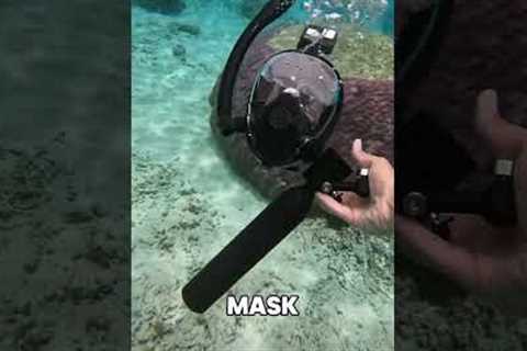 Refillable Mini Breathing Tank 🤿 #diving #summer #scuba #freediving #divinglife